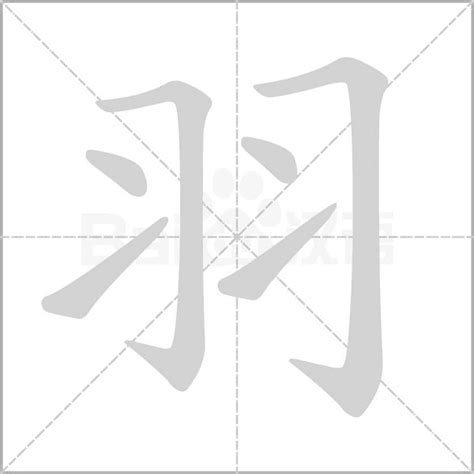 羽字邊的字|部首為羽字旁的國字一覽,按字典偏旁羽查字,共355個字